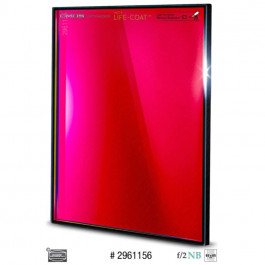 FILTRO H-ALPHA 6.5 NM DE...