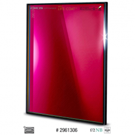 FILTRO SII 6.5 NM DE...