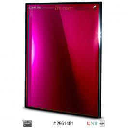 FILTRO SII 4 NM DE 65X65MM2...